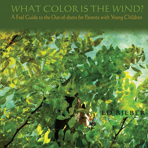 WHAT COLOR IS THE WIND?